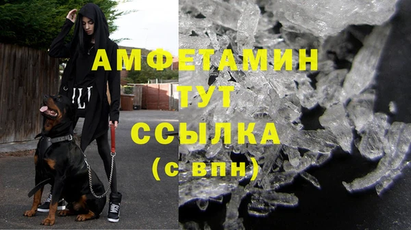 ПСИЛОЦИБИНОВЫЕ ГРИБЫ Кодинск