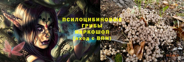 ГАЛЛЮЦИНОГЕННЫЕ ГРИБЫ Киреевск