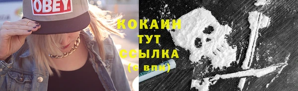 гидра Киренск