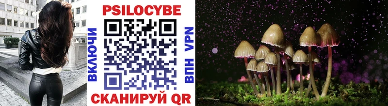 Галлюциногенные грибы Psilocybe  Орехово-Зуево 